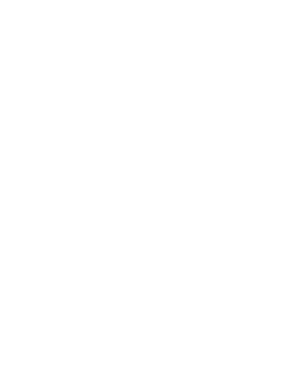 Pfeilform